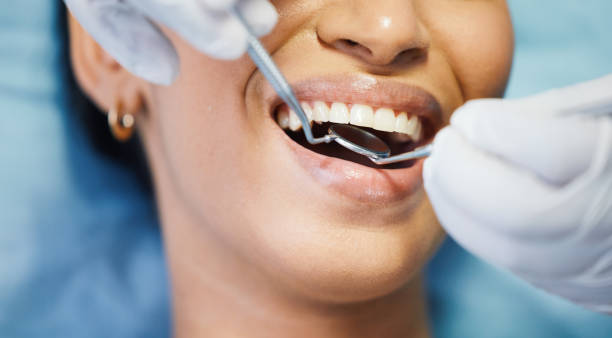 Best Emergency Orthodontic Repairs in Curwensville, PA